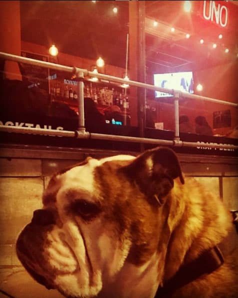 Bar Uno Friends 9
